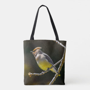 Cedar Waxwing Songbird Original Wild Bird Foto