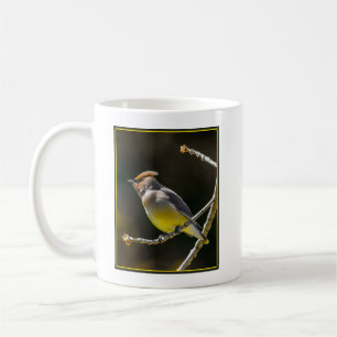 Cedar Waxwing Songbird Original Wild Bird Foto Kaffeetasse
