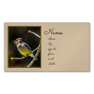 Cedar Waxwing Songbird Original Wild Bird Foto Magnetische Visitenkarte
