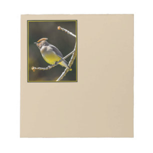 Cedar Waxwing Songbird Original Wild Bird Foto Notizblock