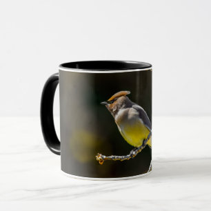 Cedar Waxwing Songbird Original Wild Bird Foto Tasse