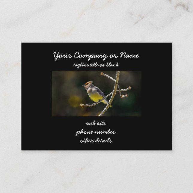 Cedar Waxwing Songbird Original Wild Bird Foto Visitenkarte (Vorderseite)