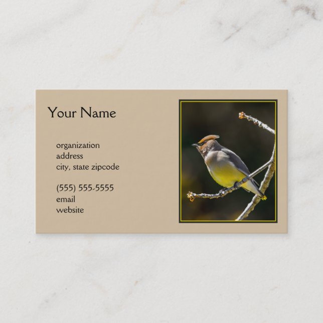 Cedar Waxwing Songbird Original Wild Bird Foto Visitenkarte (Vorderseite)