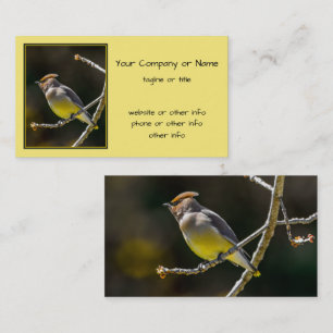 Cedar Waxwing Songbird Original Wild Bird Foto Visitenkarte