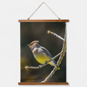 Cedar Waxwing Songbird Original Wild Bird Foto Wandteppich Mit Holzrahmen
