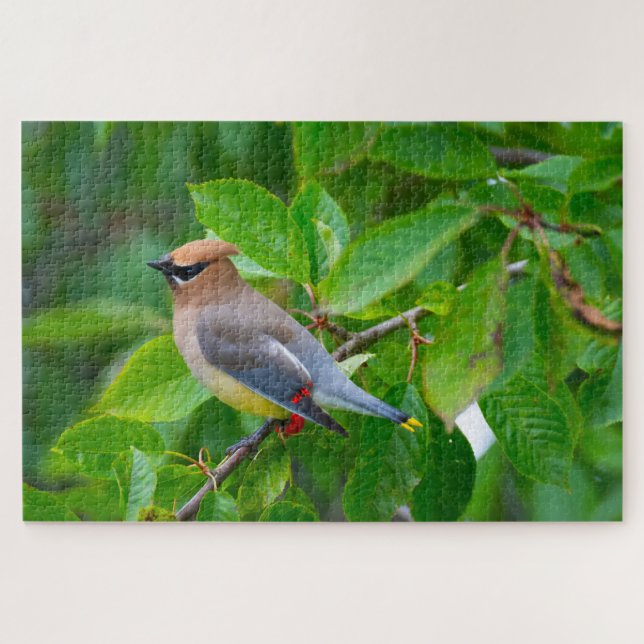 Cedar Waxwing Super Challenging Bird Lover Puzzle (Horizontal)