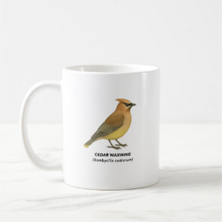 Cedar Waxwing - Vögel in Kalifornien Kaffeetasse