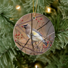 Cedar Waxwing | Weihnachtsschmuck
