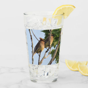 Cedar Waxwings - Backyard Bird Series - Glas