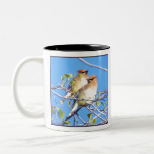 Cedar Waxwings Zweifarbige Tasse
