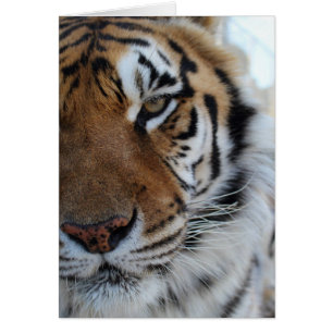 Cedarhill Tierschongebiet-Karte