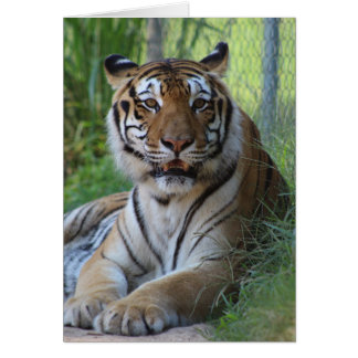 Cedarhill Tierschongebiet-Karte