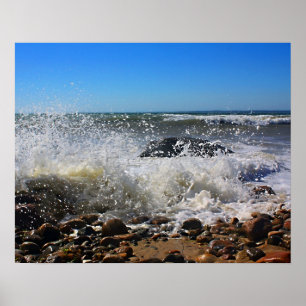 CedarTreeNeck16x20 Poster