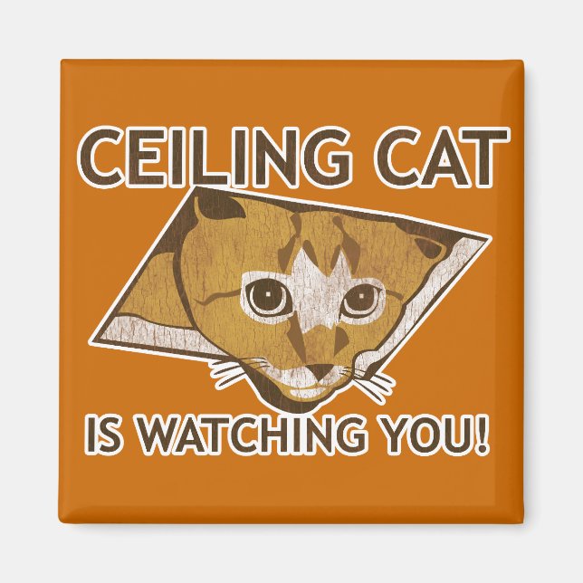 Ceiling Cat beobachtet dich! Magnet (Vorne)