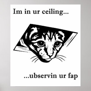 Ceiling Cat ubservin u... Poster
