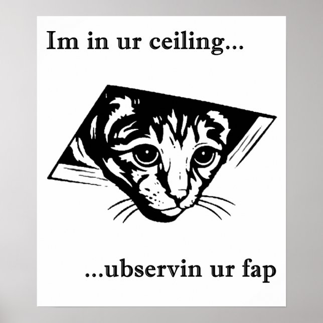Ceiling Cat ubservin u... Poster (Vorne)