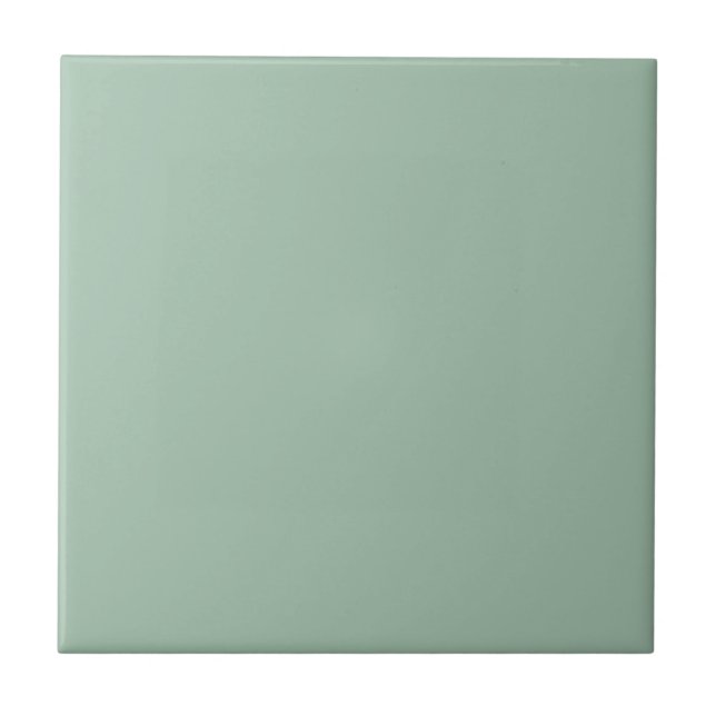 Celadon Green Schlichte Solid Color Keramik Tile Fliese (Vorderseite)