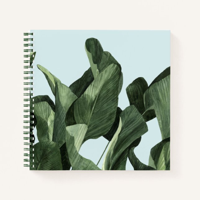 Celadon Palms Notizbuch (Vorderseite)