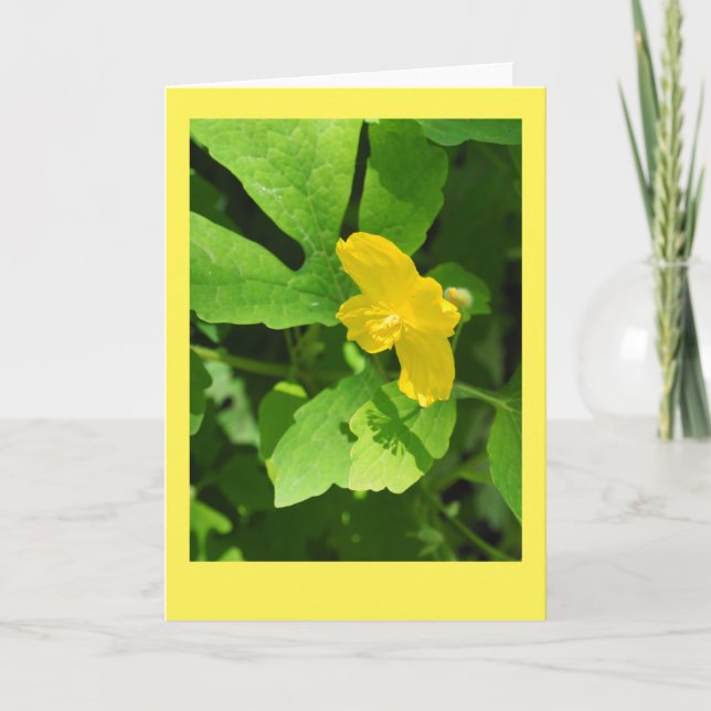 Celandine Poppy Blank Note Card Karte (Vorderseite)