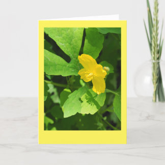 Celandine Poppy Blank Note Card Karte