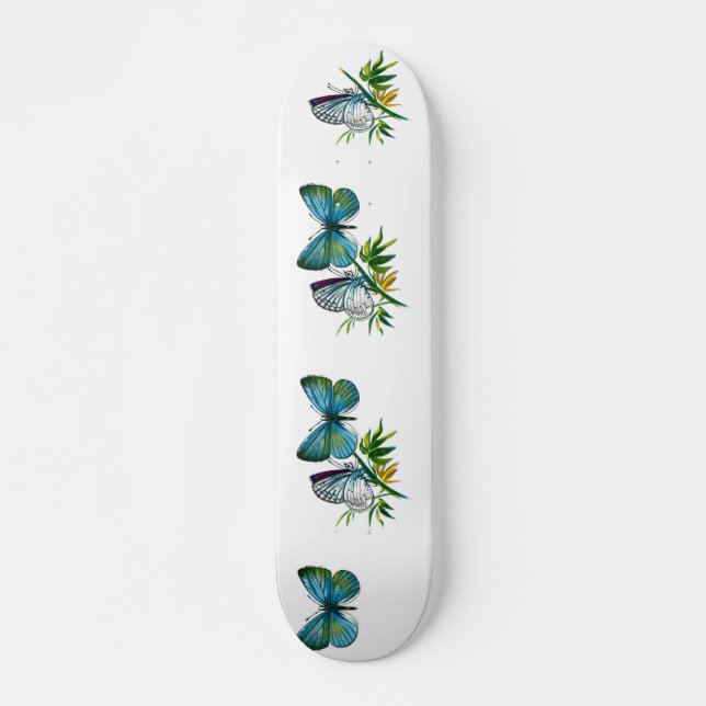 Celastrina argiolus (männlich) skateboard (Vorne)