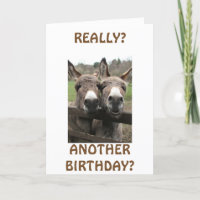 CELEBRATE BIRTHTAG, AUFMERKSAMKEIT FRAGE MULES?