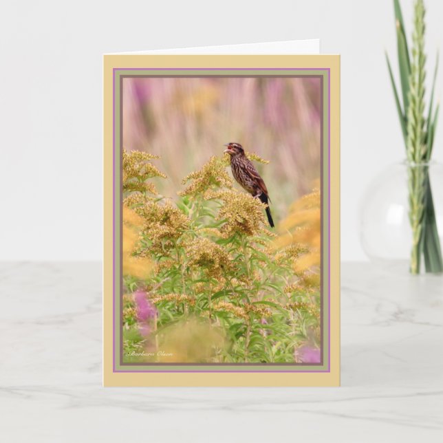 Celebrate gal-birds: Female-Red-wing black bird: Karte (Vorderseite)