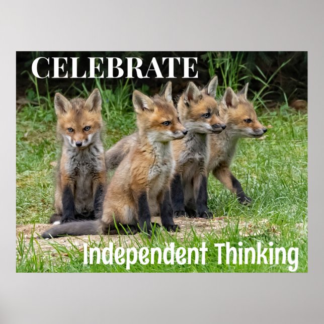Celebrate Independent Thinking Foxes Poster (Vorne)