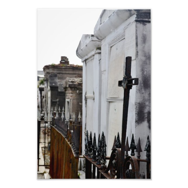 Celebrate Life Fotodruck (Vorne)