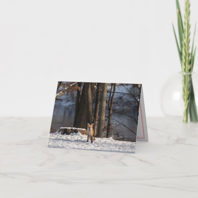 Celebrate Winter Folded Holiday Card Feiertagskarte (Vorderseite)