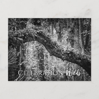 Celebration Wilds Postkarte