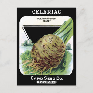 Celeriac Root Gemüsepflanzliche Vintage Saatpackun Postkarte