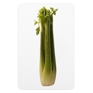 Celery Foto Magnet