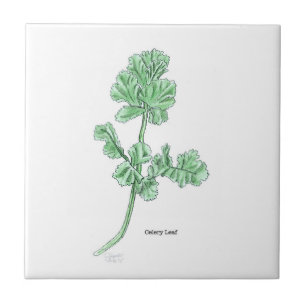 Celery Leaf Art Fliese