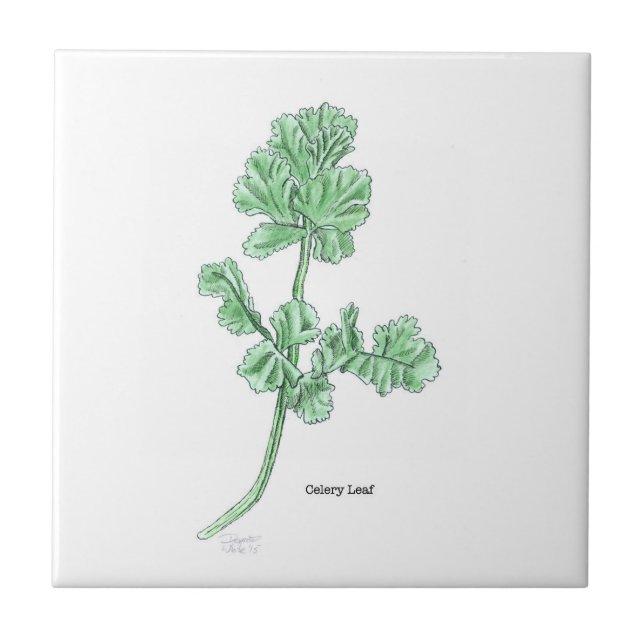 Celery Leaf Art Fliese (Vorderseite)