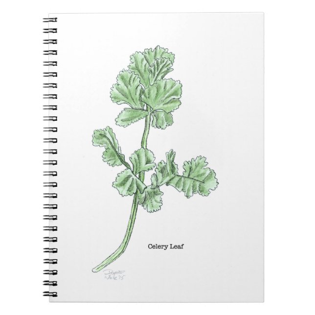Celery Leaf Notizblock (Vorderseite)