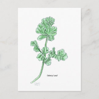Celery Leaf Postkarte