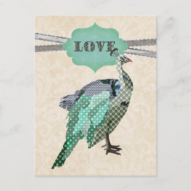 Celeste Peacock    LovePostcard Postkarte (Vorderseite)