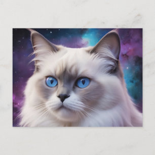Celestial Birman Cat Portrait Postkarte