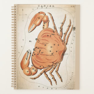 Celestial Cancer Zodiac Planer