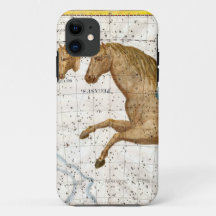 Celestial Map Pegasus