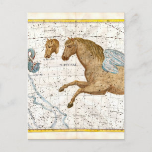 Celestial Map Pegasus Postkarte