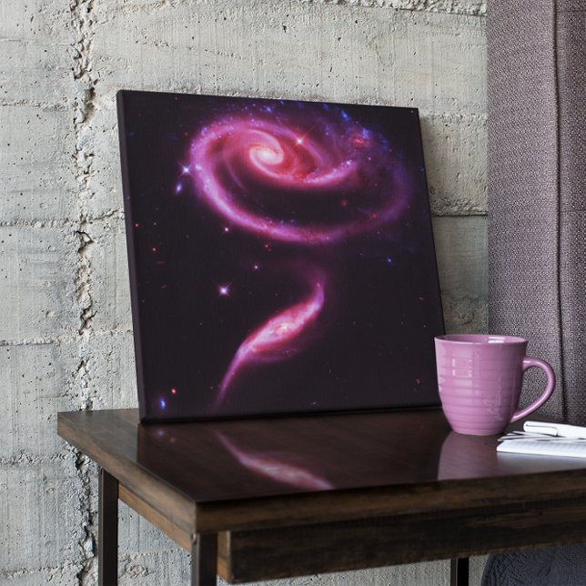 Celestial Pink Rose Galaxien Leinwanddruck (Von Creator hochgeladen)