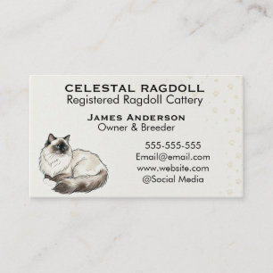 Celestial Ragdoll Registrierte Katzenzucht Geschäf Visitenkarte