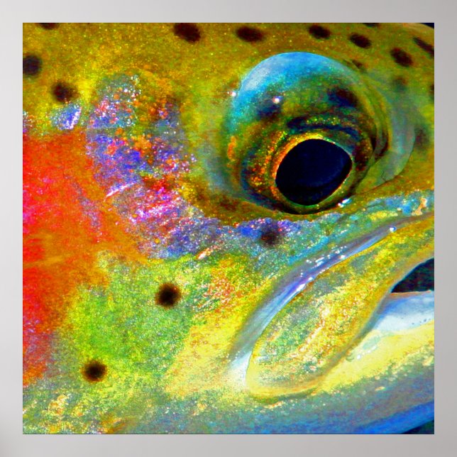 "Celestial Rainbow" Poster (Vorne)