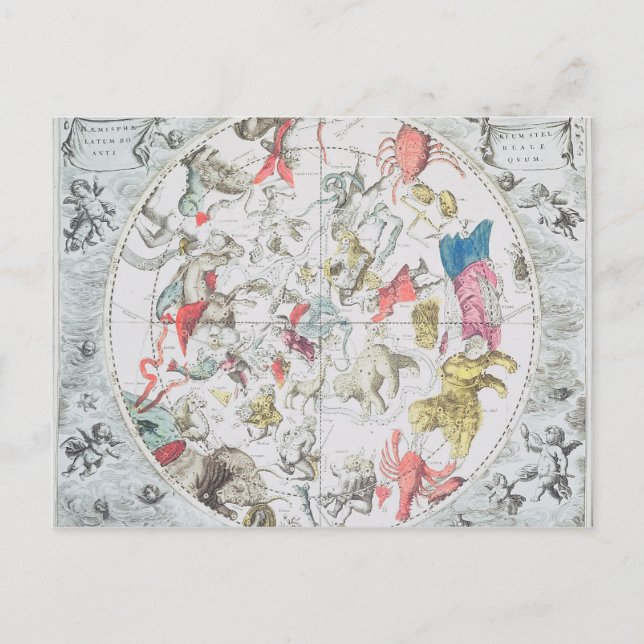 Celestial Show the Signs of the Zodiac Postkarte (Vorderseite)