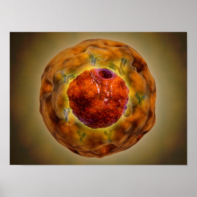 Cell Nucleus With Chromosome 3 Poster (Vorne)