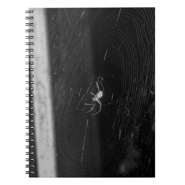 Cellar Spider Notizblock (Vorderseite)