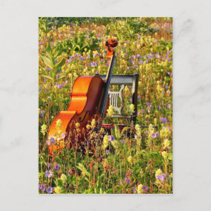 Cello with chair in a field of wildflowers postkarte