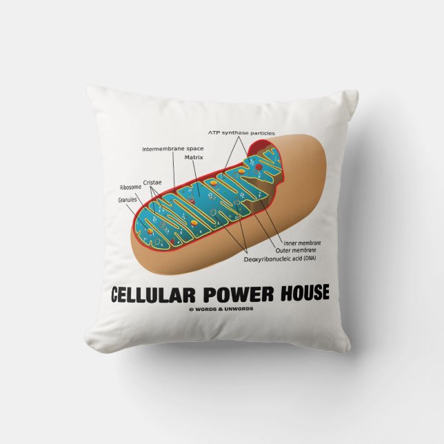 Cellular Power House Mitochondrion Kissen (Vorderseite)